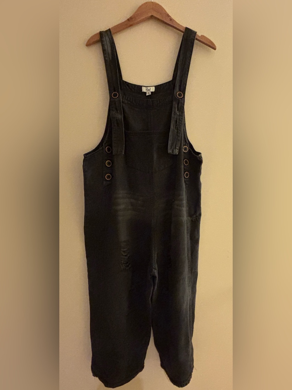 Easel black washed overalls
